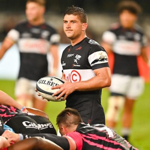 Sharks prepare for fight against Griquas