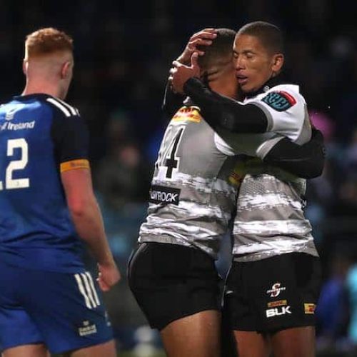 Stormers, Sharks, Lions book European quarter-final spots