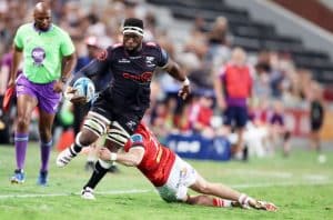 Read more about the article Kolisi set to miss Rugby WC due to knee injury