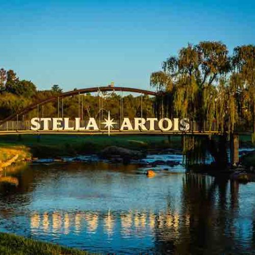 Stars and young guns gather for Stella Artois Players Championship