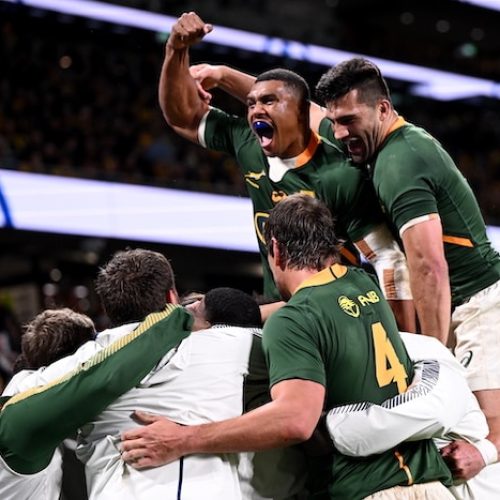 Come say au revoir to the Springboks on Saturday