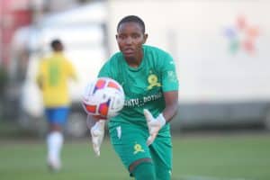 Read more about the article Dlamini:  We are also ready for World Cup
