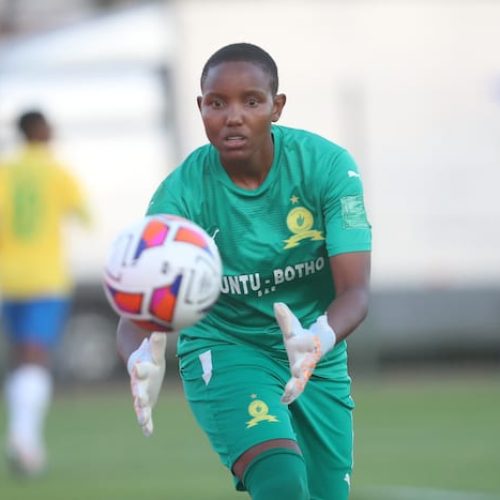 Dlamini:  We are also ready for World Cup