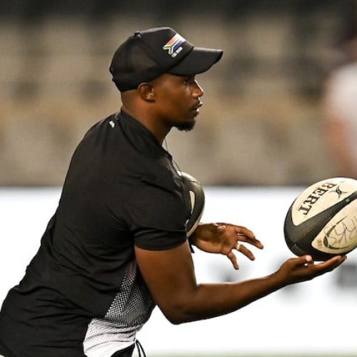 Shark brace for Currie Cup semi-finals