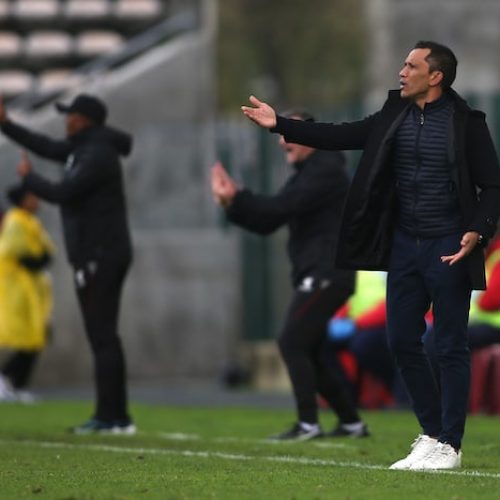 Davids calls on Maritzburg fans to fill Harry Gwala Stadium