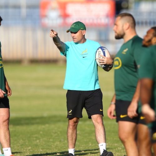 Nienaber: Argentina grind gives Springboks Rugby World Cup taster