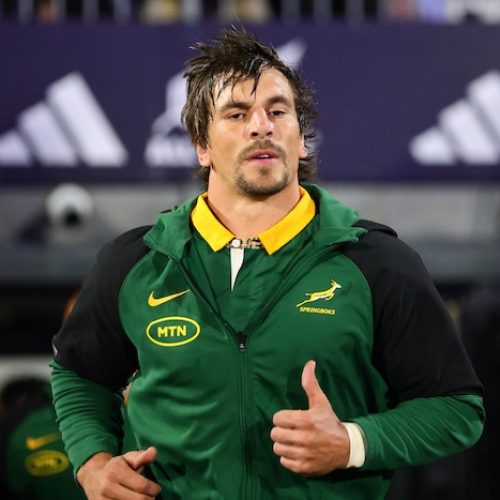 Springboks’ Etzebeth, Hendrikse available for Pumas tie