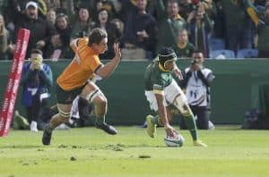 Read more about the article Arendse stars Springboks put Australia to the sword