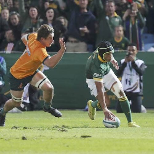 Arendse stars Springboks put Australia to the sword