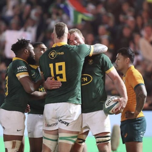 Springbok plan comes together in stirring victory