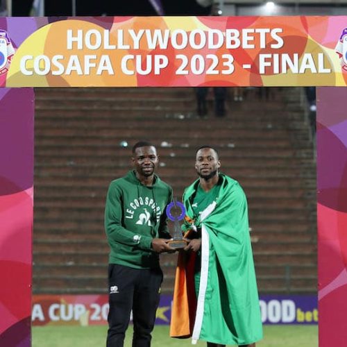 Mabasa named in Cosafa Cup Team of the Tournament