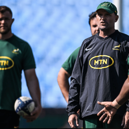 Springboks reassemble in Pretoria