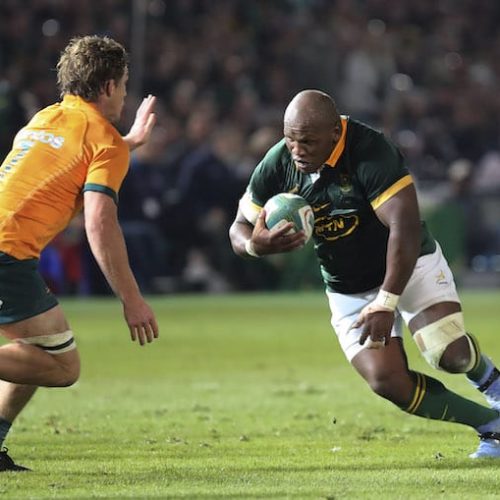 Mbonambi captains Boks in BA as Steenekamp makes debut