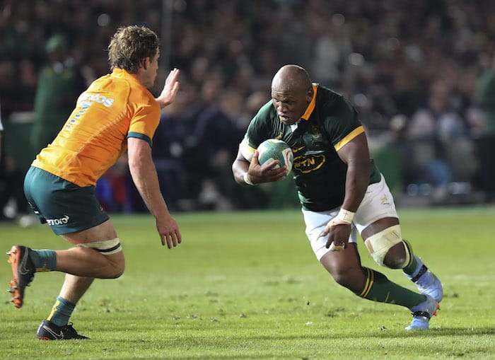 You are currently viewing Mbonambi captains Boks in BA as Steenekamp makes debut