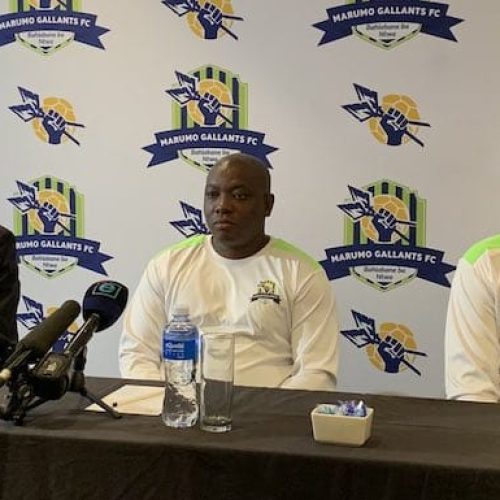 Gallants announce new head coach, 15 signings, new stadium