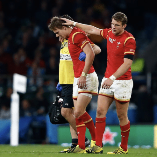 Williams, Biggar to miss Wales clash against Springboks