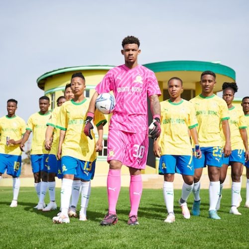 Sundowns, Red Bull take flight with new partnership