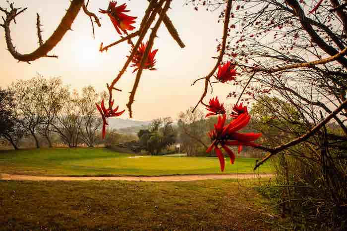 You are currently viewing Sunshine Tour celebrates Gary Player’s legacy