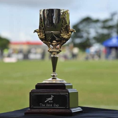 Durban and Pretoria to host Gold Cup semi-finals
