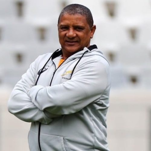 Coetzee: Namibia have already achieved success ahead of WC