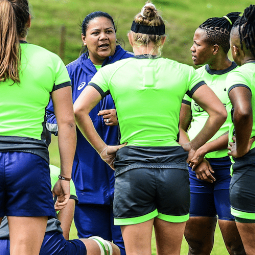 Johannes-Haupt: Springbok Women ready for Kenyan challenge