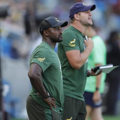 Springbok Sevens gets coaching makeover