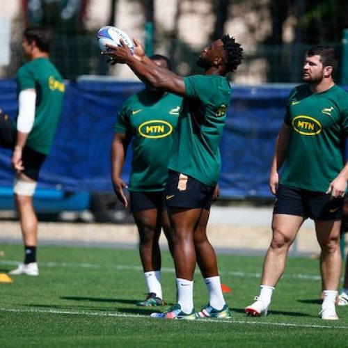 Kolisi eyes perfect start against Scotland in World Cup opener
