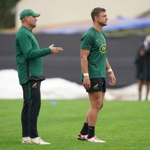 Nienaber recalls record-breaking 2019 RWC final halfback duo for NZ showdown