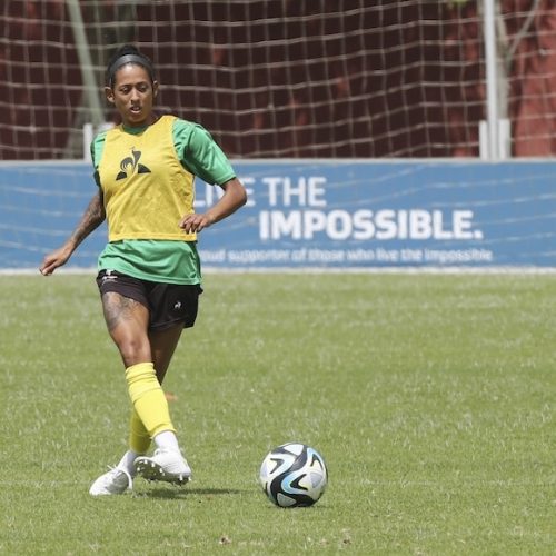 Ellis backs Moodaly’s decision to take time away from Banyana