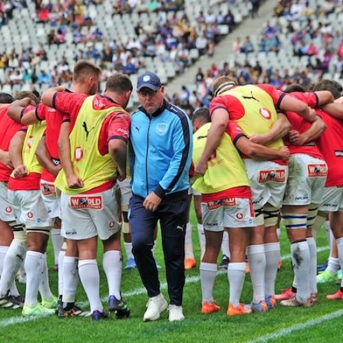 White excited about Vodacom Bulls’ potential this season