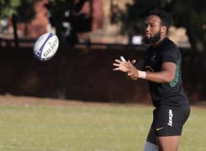 Read more about the article Lukhanyo Am called into Springbok Rugby World Cup squad