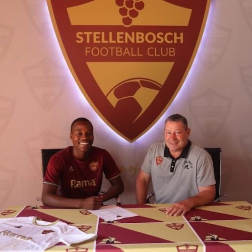 Stellies swoop in to sign Matsheke