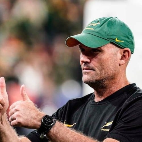 Nienaber praises Boks for doing what they could to stay in RWC