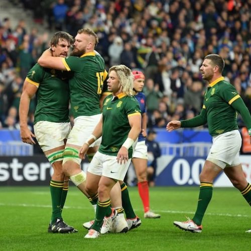 Nienaber, Etzebeth, Libbok nominated for World Rugby awards