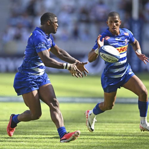 John Dobson looks to brighter days with Stormers