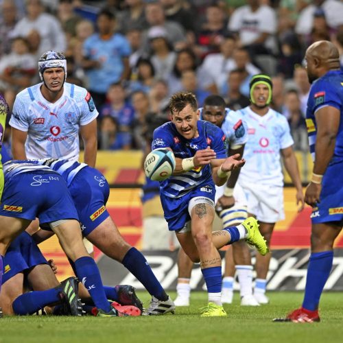 Dobson delight as Stormers find their groove