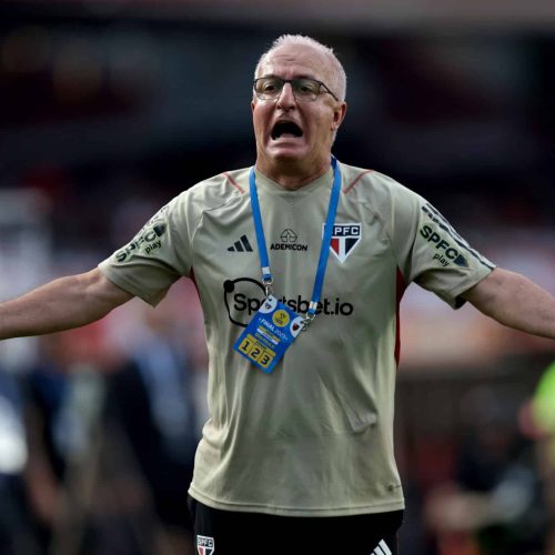 Struggling Brazil name new coach