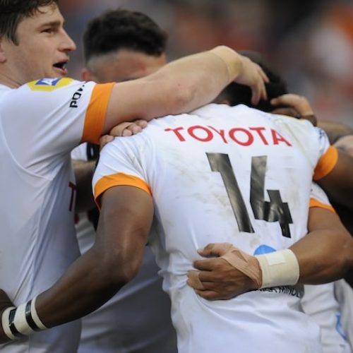 Cheetahs prepare for Oyonnax showdown