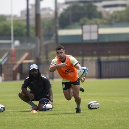 Nomlomo, Tsimba help Vodacom Bulls find a new edge this season