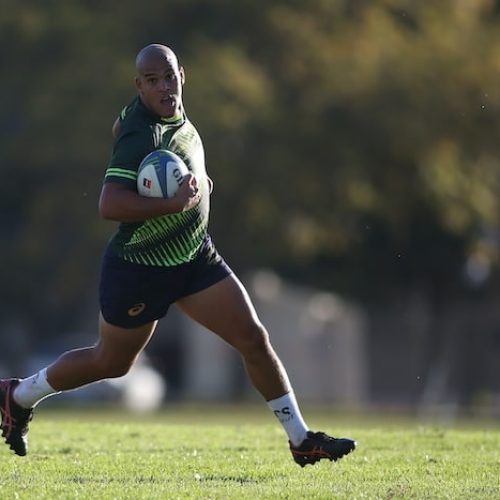 Davids and Williams to bring variety to Blitzbok effort in Canada
