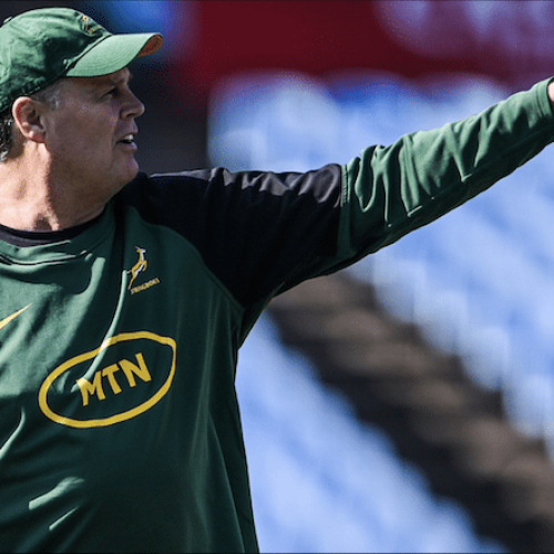Boks to get wheels in motion with Cape Town alignment camp