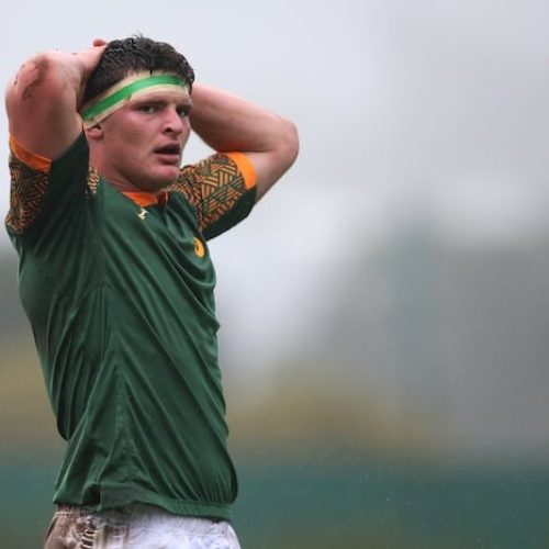 Towering Van Heerden brings calmness to excited Junior Bok squad