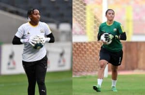 Read more about the article Dlamini & Swart nominated for COSAFA Women’s Goalkeeper of the Year award