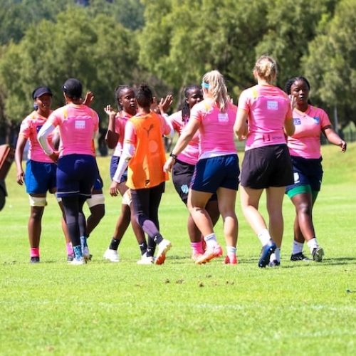 Free State to add spice as Women’s Premier Division kicks off