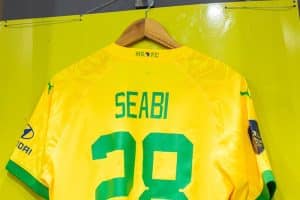 Read more about the article Seabi: I can do more, it’s still a long journey