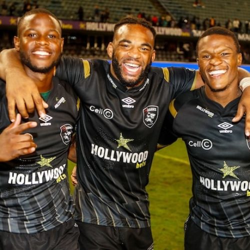 Hollywoodbets Sharks book historic EPCR semi-final spot