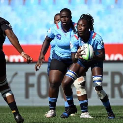 Bulls Daisies tackle Sharks in only Women’s Premier Division clash of weekend