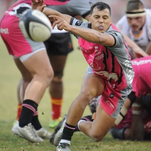 Griquas and Pumas in a battle for the SA Cup summit