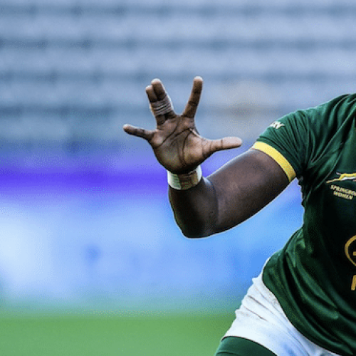 Booi: Focus on game plan to drive Springbok Women