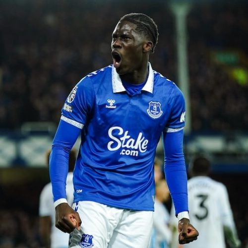 Amadou Onana: Next Big Thing